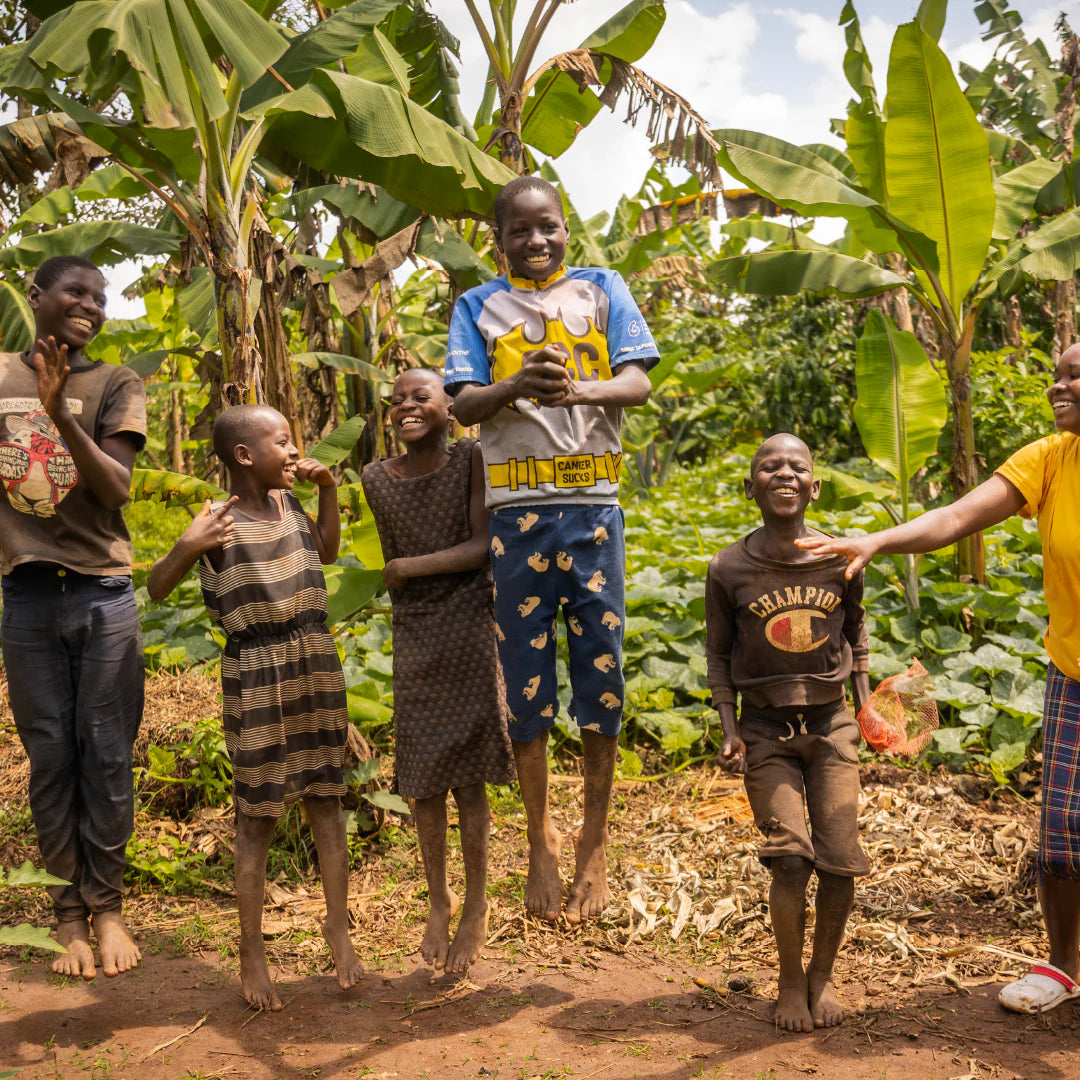 How We Grow Our Pineapples: From Soil to Snack with Love