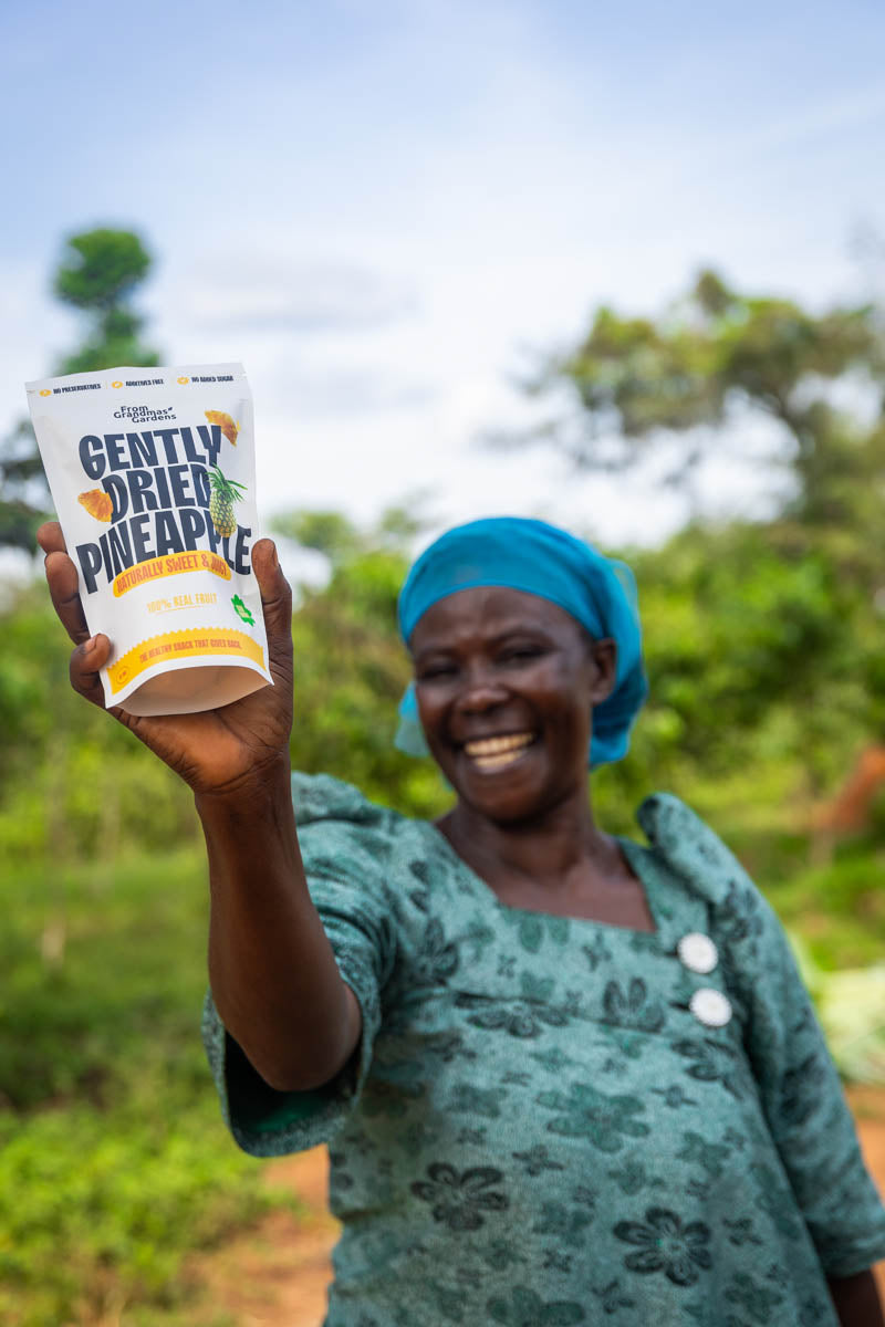 Dried pineapple slides from grandmas gardens