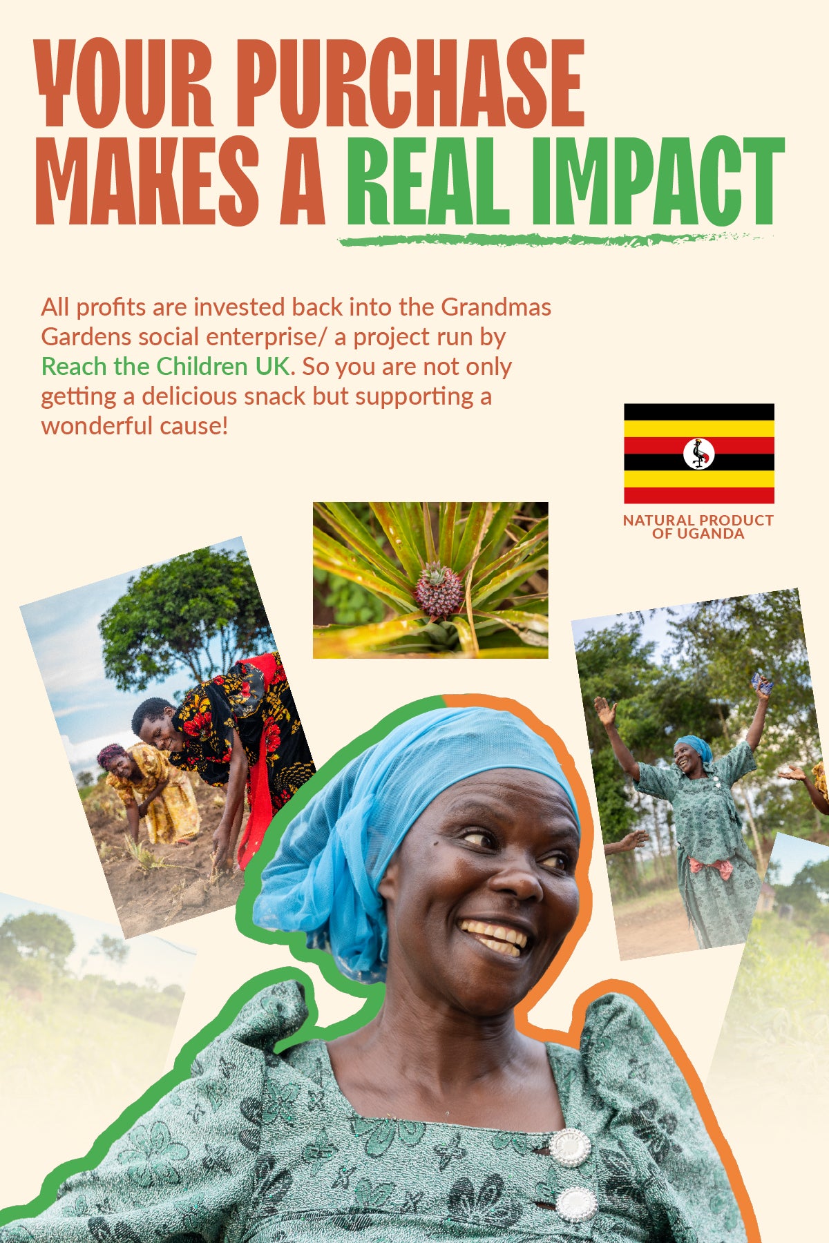 Ethical dried fruit snack - vegan and nutrient-rich