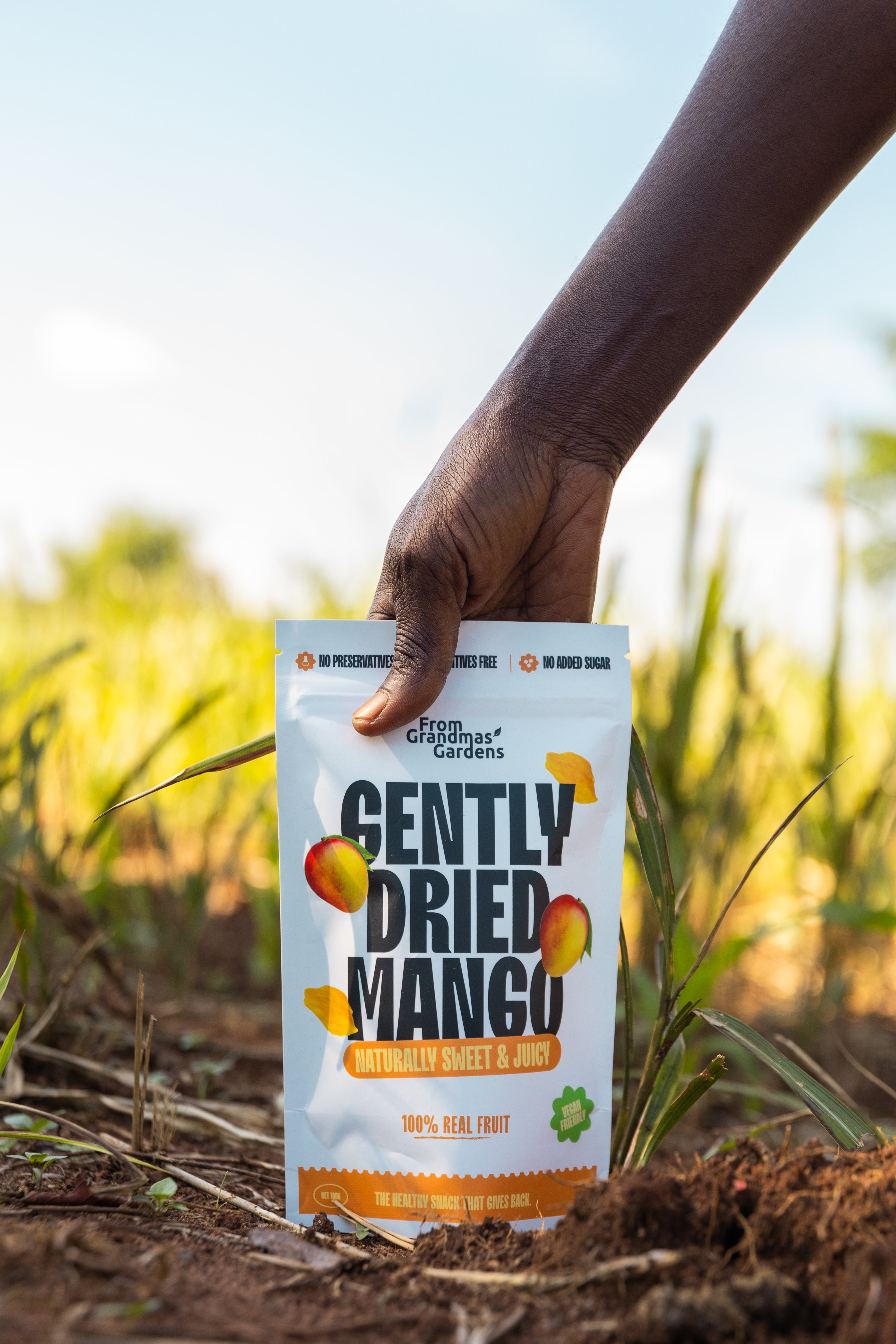 A packaged product of gently dried mango held in a field, with the packaging displaying product information and branding.
