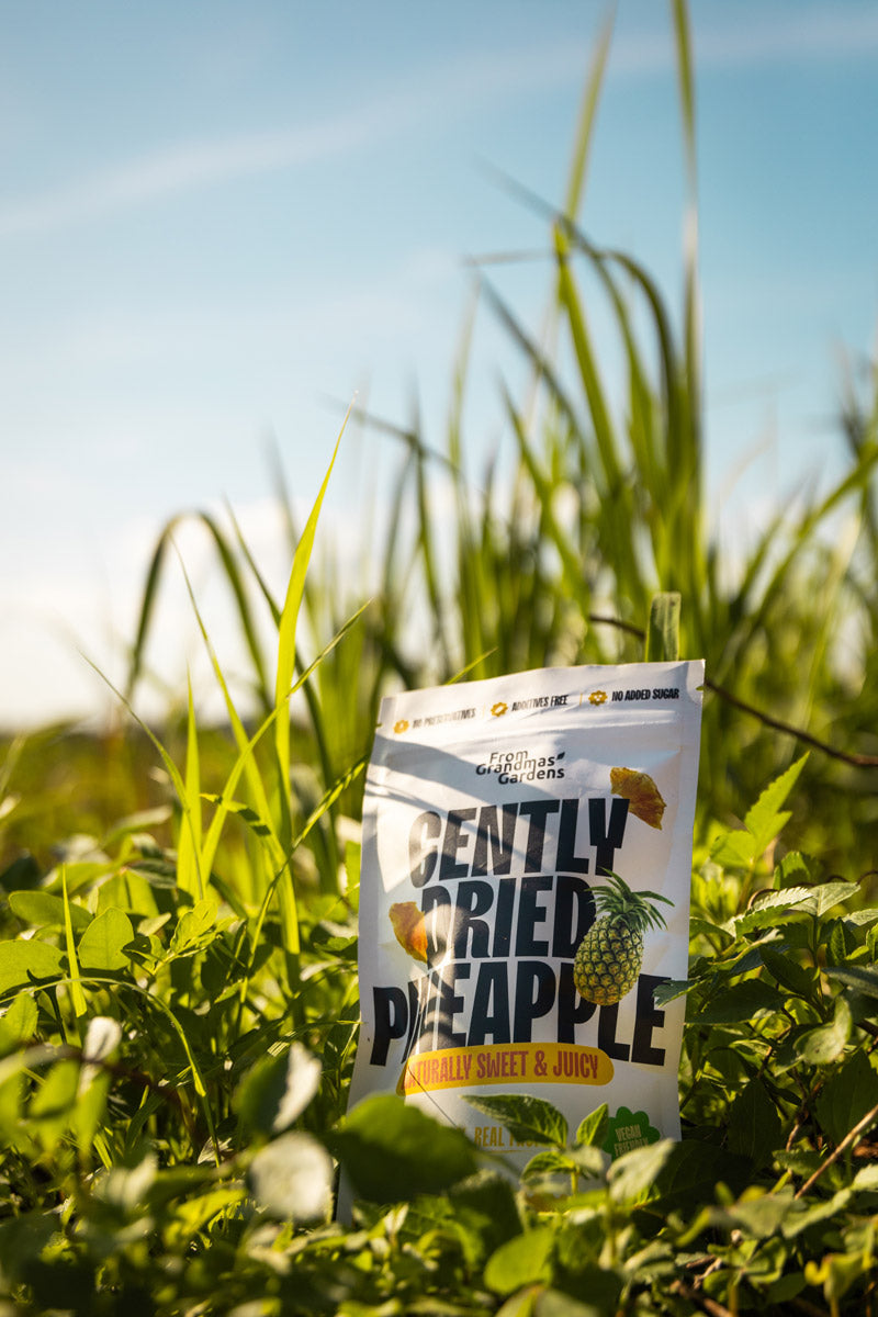 Gently dried pineapple snack